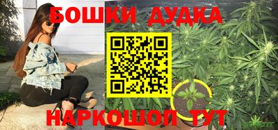 прущая мука Будённовск