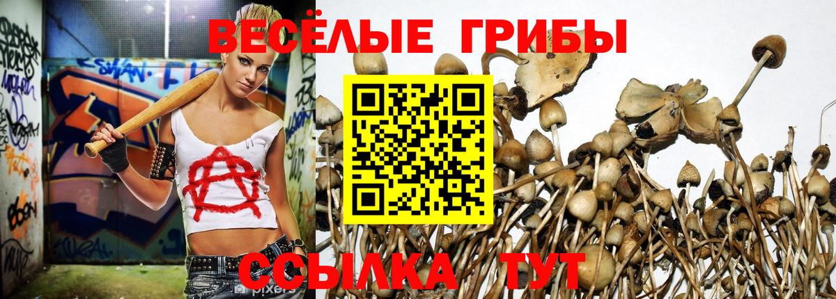Псилоцибиновые грибы GOLDEN TEACHER  Вход с VPN  Мелеуз 