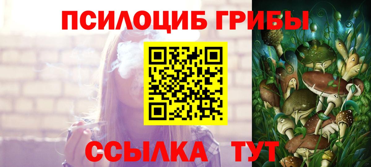 Псилоцибиновые грибы мухоморы Мелеуз
